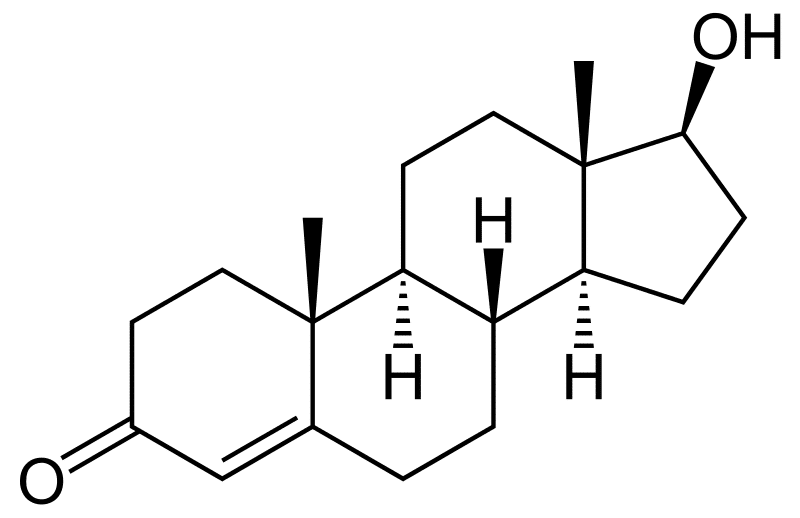 What is testosterone?