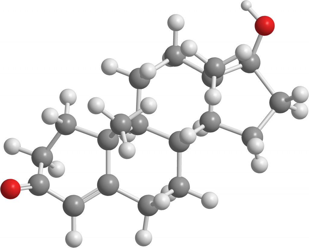 Testosterone is only present in the body